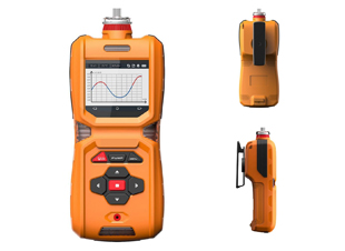 TD600-SHH-H2型泵吸式氢气测定仪